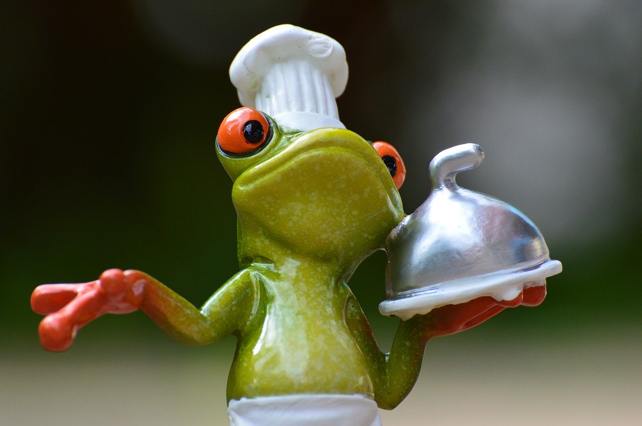 Cooking, frog еда, повар, готовка, лягушка